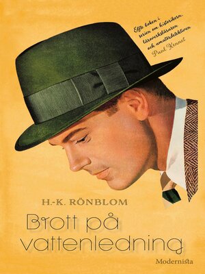 cover image of Brott på vattenledning